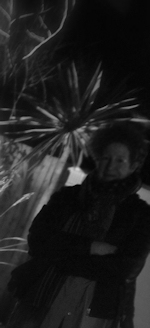 judithe harrison - garden design